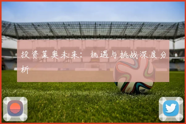 投资莱奥未来：机遇与挑战深度分析