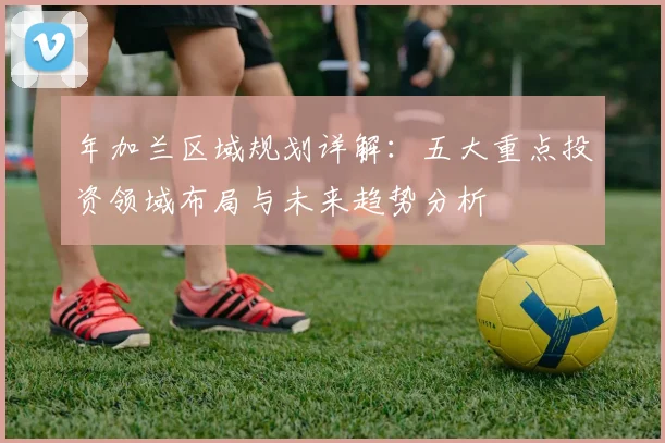 年加兰区域规划详解：五大重点投资领域布局与未来趋势分析